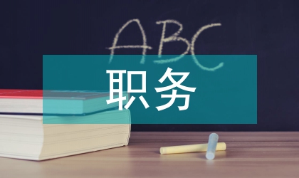 會計師職務任職資格業務總結