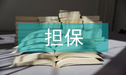 基于擔(dān)保的企業(yè)融資論文