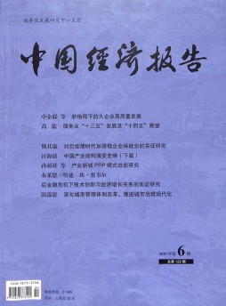 中國經(jīng)濟報告