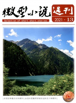 微型小說選刊