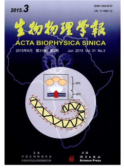 生物物理學報雜志